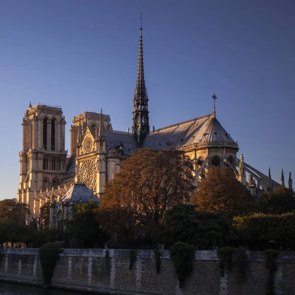 Catedral Notre Dame París París Francia —  Fotos de Stock