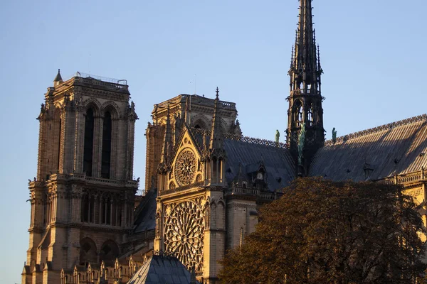 Notre Dame Paris Cathedral Paris Português França — Fotografia de Stock