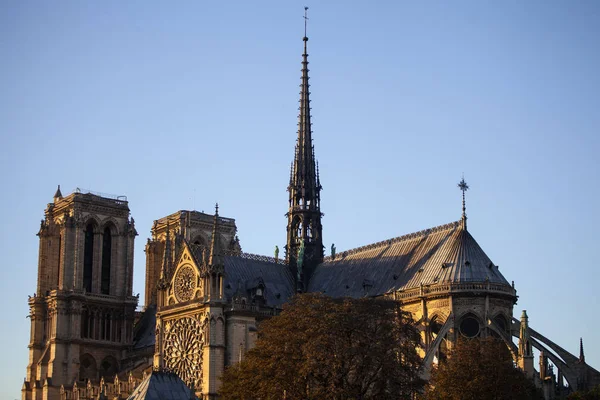 Notre Dame Paris Cathedral Paris Português França — Fotografia de Stock