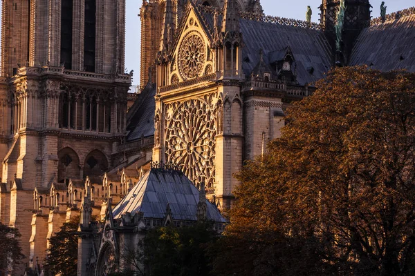 Notre Dame Paris Cathedral Paris Português França — Fotografia de Stock