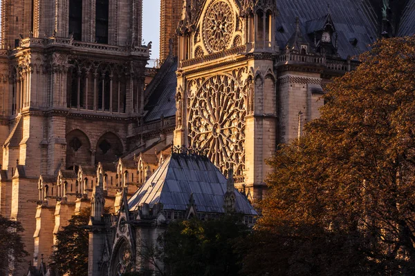 Notre Dame Paris Cathedral Paris Português França — Fotografia de Stock