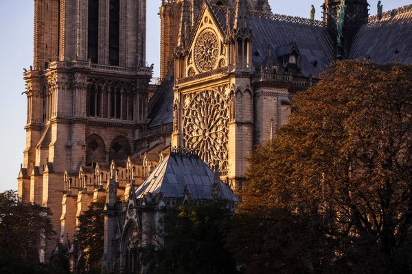 Notre Dame Paris Katedrali Paris Fransa — Stok fotoğraf