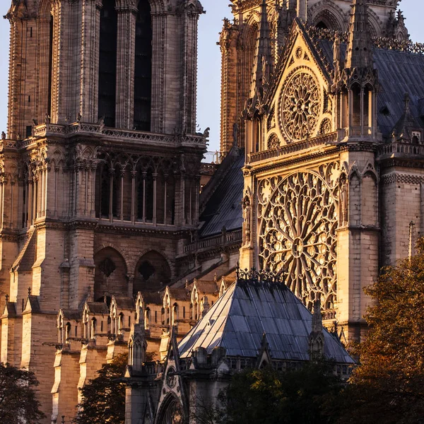 Cattedrale Notre Dame Paris Francia — Foto Stock