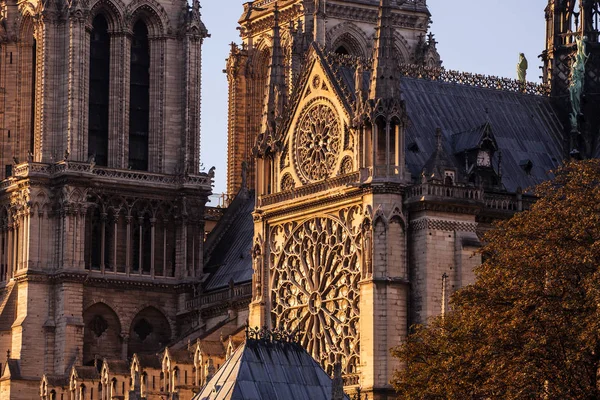 Cathédrale Notre Dame Paris France — Photo