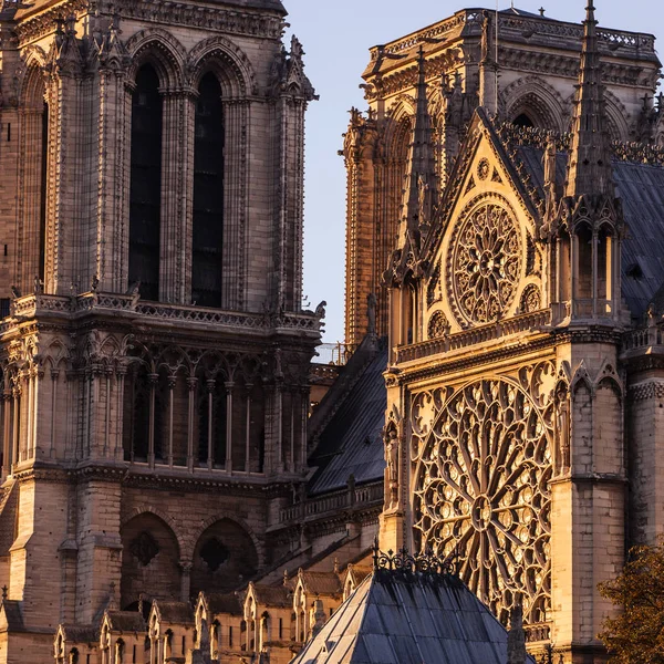 Cattedrale Notre Dame Paris Francia — Foto Stock