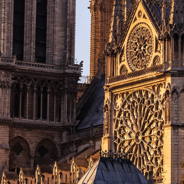 Cathédrale Notre Dame Paris France — Photo