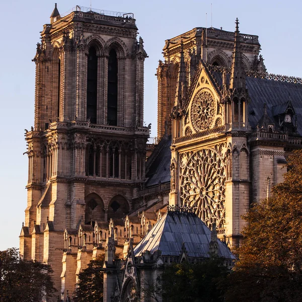 Notre Dame Paris Cathedral Paris Português França — Fotografia de Stock