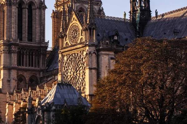 Notre Dame Paris Cathedral Paris Português França — Fotografia de Stock