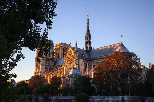 Notre Dame Paris Cathedral Paris Português França — Fotografia de Stock