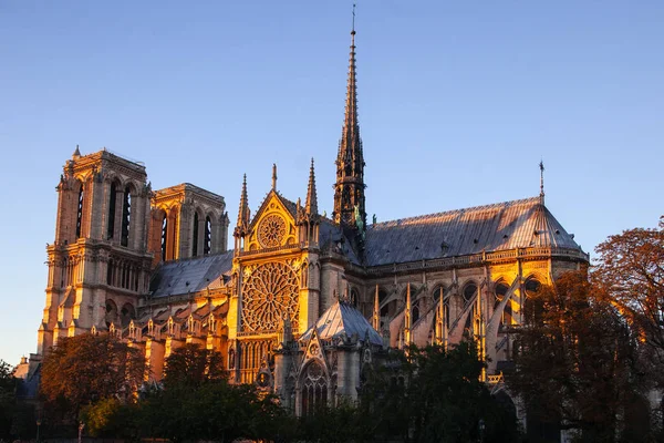 Katedra Notre Dame Paris Paryż Francja — Zdjęcie stockowe