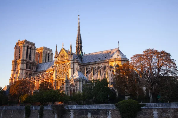 Notre Dame Paris Katedrali Paris Fransa — Stok fotoğraf