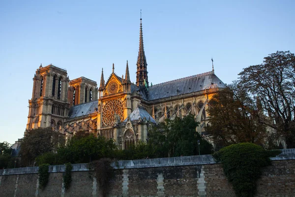 Paris Fransa Daki Ile Cite Deki Notre Dame Katedrali — Stok fotoğraf