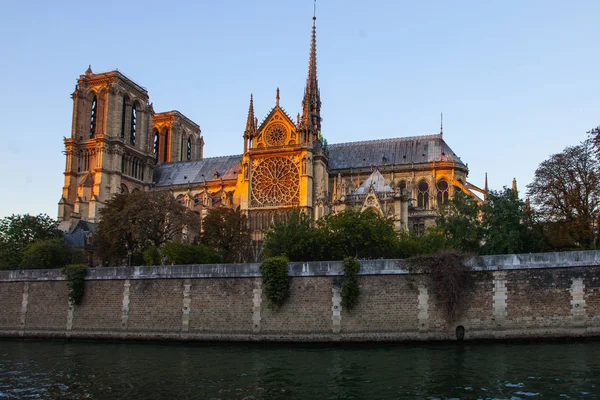 Catedral Notre Dame Ile Cite París Francia —  Fotos de Stock
