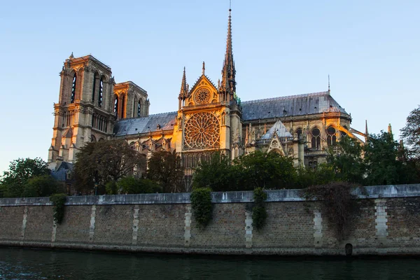 Cattedrale Notre Dame Sull Ile Cite Parigi Francia — Foto Stock