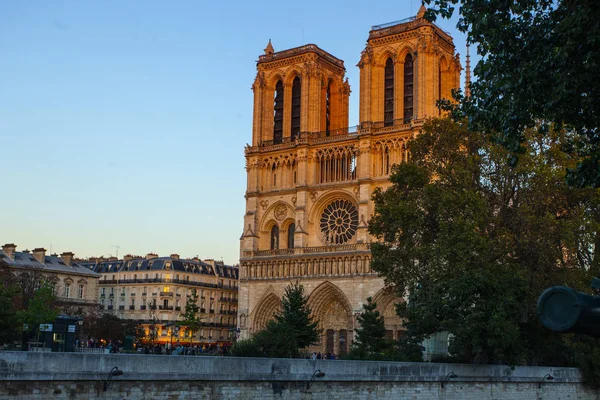 Catedral Notre Dame Ile Cite París Francia —  Fotos de Stock