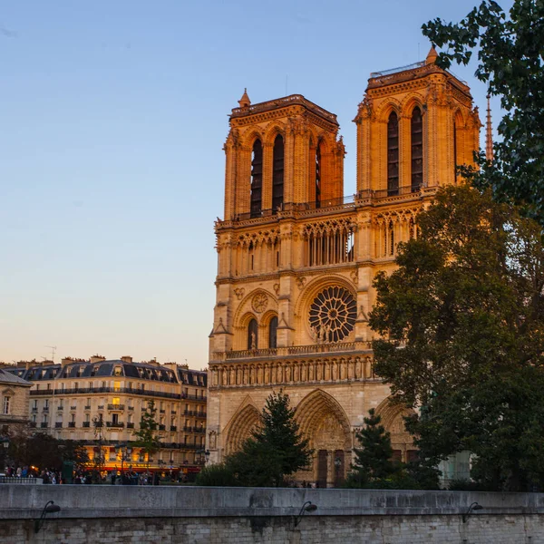 Καθεδρικός Ναός Notre Dame Στο Ile Cite Στο Παρίσι Γαλλία — Φωτογραφία Αρχείου