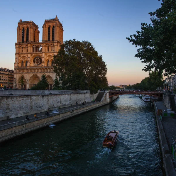 Notre Dame Katedralen Ile Cite Paris Frankrike — Stockfoto