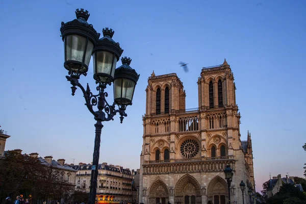 Katedrála Notre Dame Ile Cite Paříži Francie — Stock fotografie