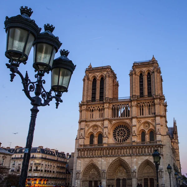 Catedral Notre Dame Ile Cite París Francia — Foto de Stock