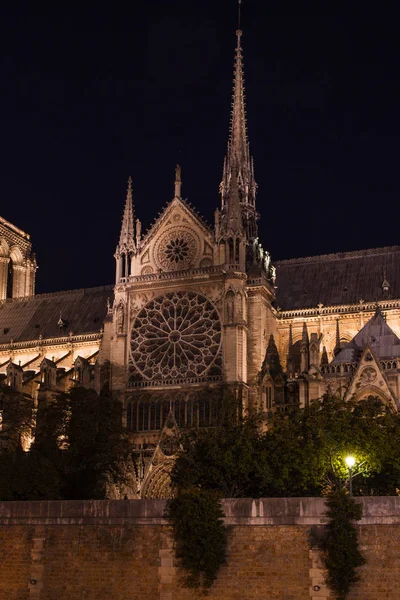 巴黎圣母院晚上在巴黎 — 图库照片