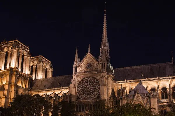 巴黎圣母院晚上在巴黎 — 图库照片