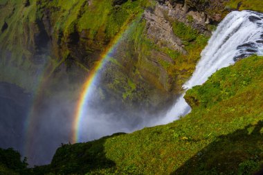 Skogafoss Şelalesi ve İzlanda'daki güneşli günde raibow