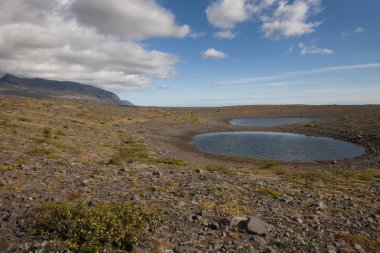 Fırtınalı havada Jokulsarlon Buzulu, İzlanda