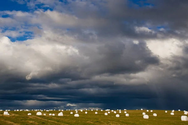 干し草をフィールド ロール アイスランドの自然 — ストック写真