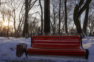 Kiev, Ukrayna içinde geçen kış süre parkta sokakta