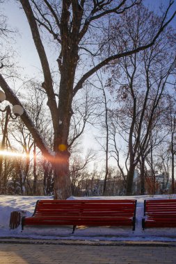 Kiev, Ukrayna içinde geçen kış süre parkta sokakta
