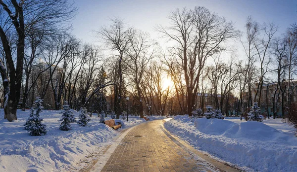 Gränd Park Vintertid Kiev Ukraina — Stockfoto