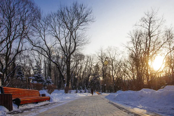 Gränd Park Vintertid Kiev Ukraina — Stockfoto