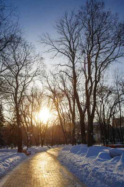 Gränd Park Vintertid Kiev Ukraina — Stockfoto