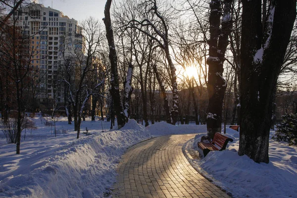 Gränd Park Vintertid Kiev Ukraina — Stockfoto