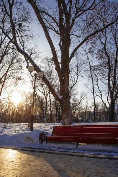 Gränd Park Vintertid Kiev Ukraina — Stockfoto