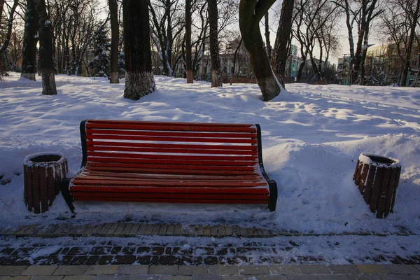 Gränd Park Vintertid Kiev Ukraina — Stockfoto