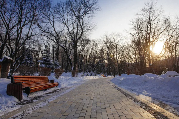 Gränd Park Vintertid Kiev Ukraina — Stockfoto