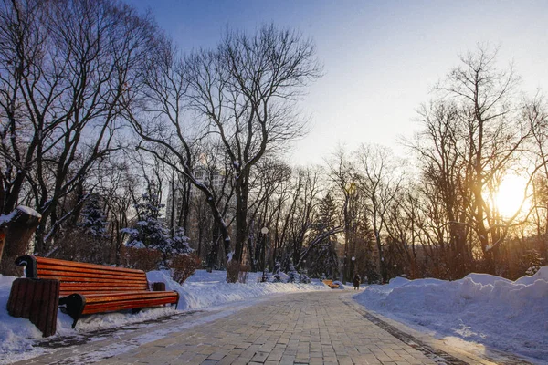 Gränd Park Vintertid Kiev Ukraina — Stockfoto