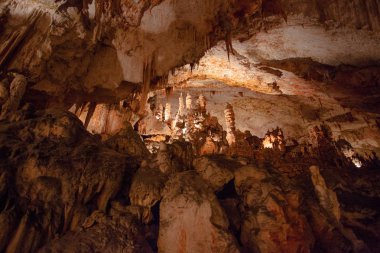 Şaşırtıcı postojna mağara, Slovenya