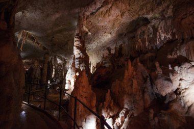 Şaşırtıcı postojna mağara, Slovenya