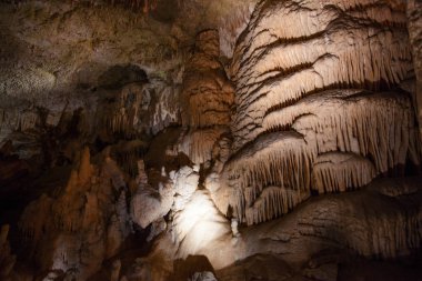 Şaşırtıcı postojna mağara, Slovenya