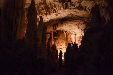 Şaşırtıcı postojna mağara, Slovenya