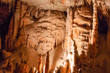 Şaşırtıcı postojna mağara, Slovenya