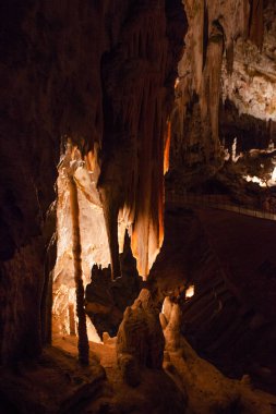 Şaşırtıcı postojna mağara, Slovenya