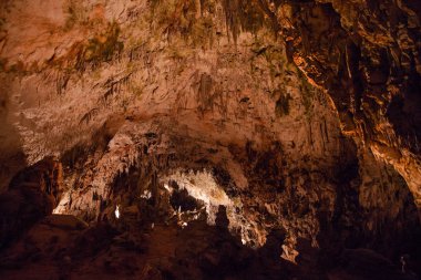 Şaşırtıcı postojna mağara, Slovenya