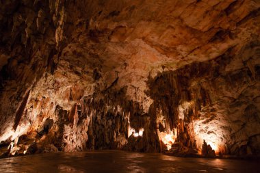 Şaşırtıcı postojna mağara, Slovenya
