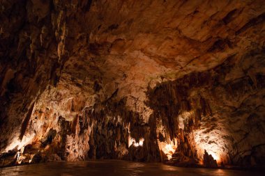 Şaşırtıcı postojna mağara, Slovenya
