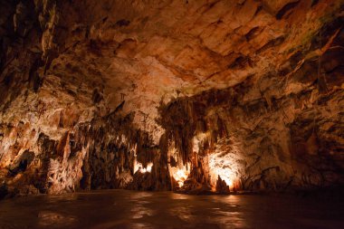 Şaşırtıcı postojna mağara, Slovenya