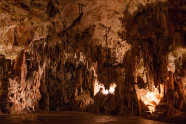 Şaşırtıcı postojna mağara, Slovenya