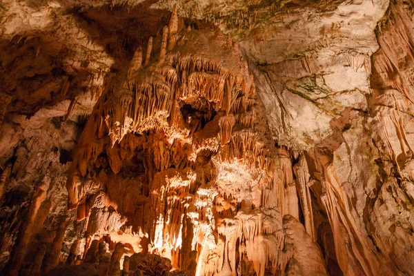 Wunderbare Postojna Höhle Slowenien — Stockfoto